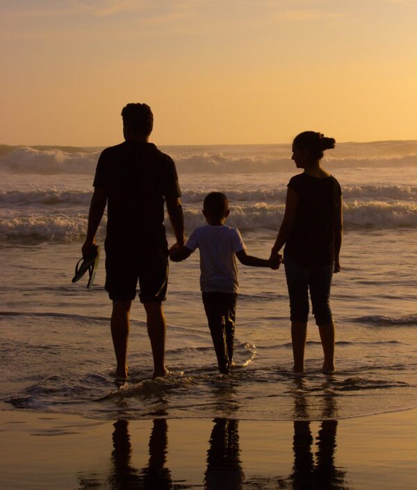 Consultas especializadas