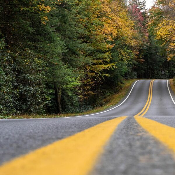 Asesoría en rutas migratorias según perfil y necesidades