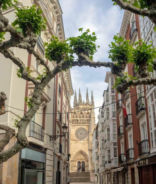 Visa por arraigo familiar, laboral o social (España)